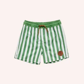 Board Short - Coastal Stripe