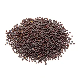 Mustard Seeds Brown